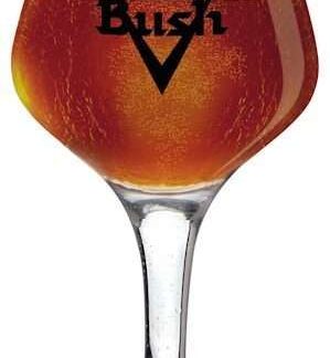 Verre Bush