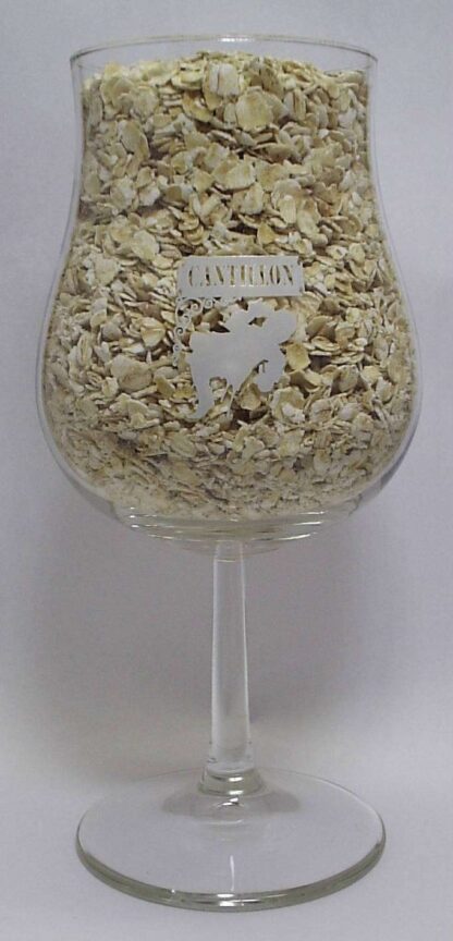 Cantillon Tulip Beer Glass